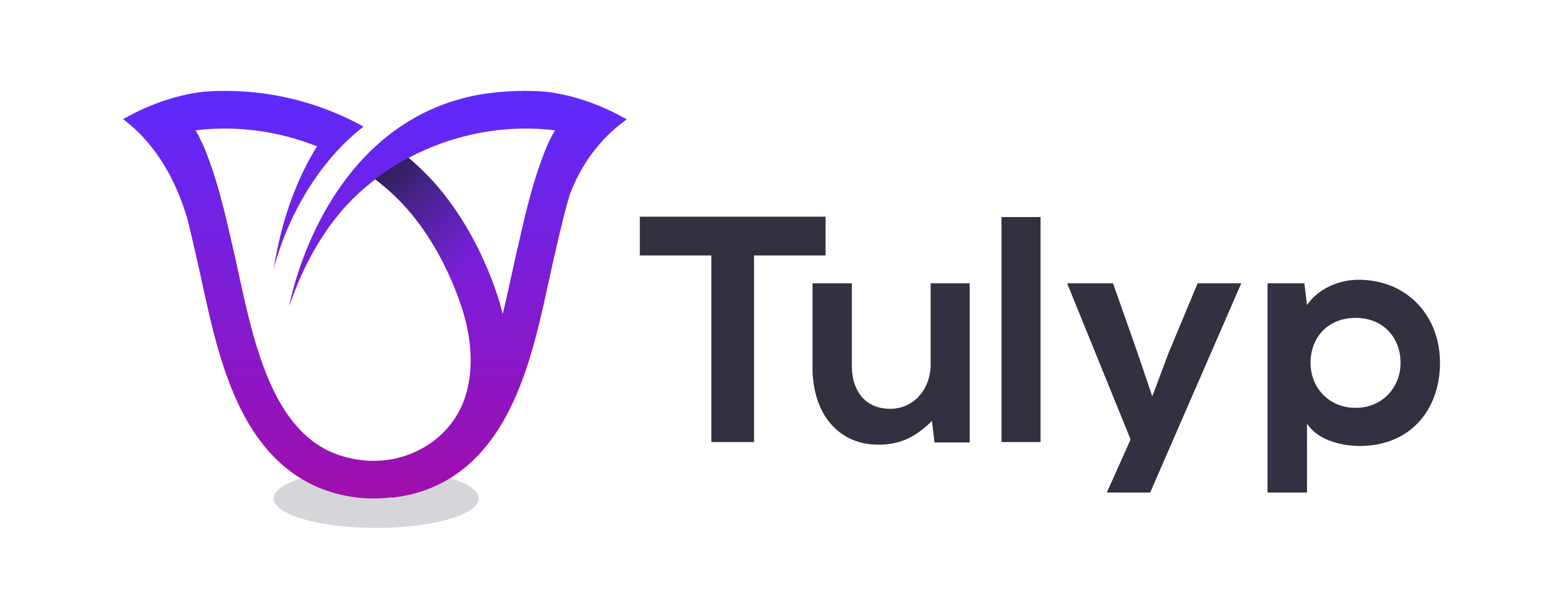 Tulyp Custom Website Designer and Marketing